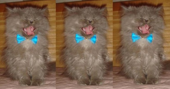 gucci-looove gucci-looove