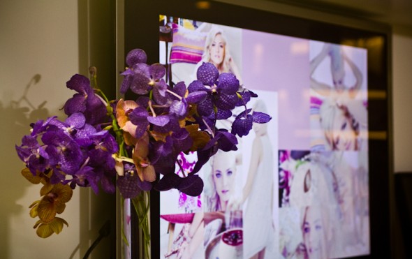 Orquídeas por SP