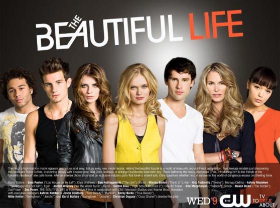 the-beautiful-life-cast-poster_558x415