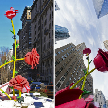 Flores em Nova York