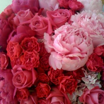 Mix de flores