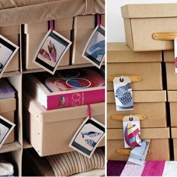 Catalogando sapatos