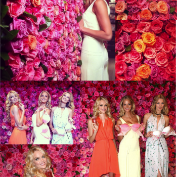 Overdose de rosas!