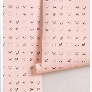 Papel de parede de gato!