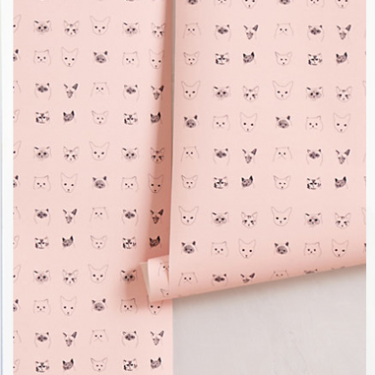 Papel de parede de gato!