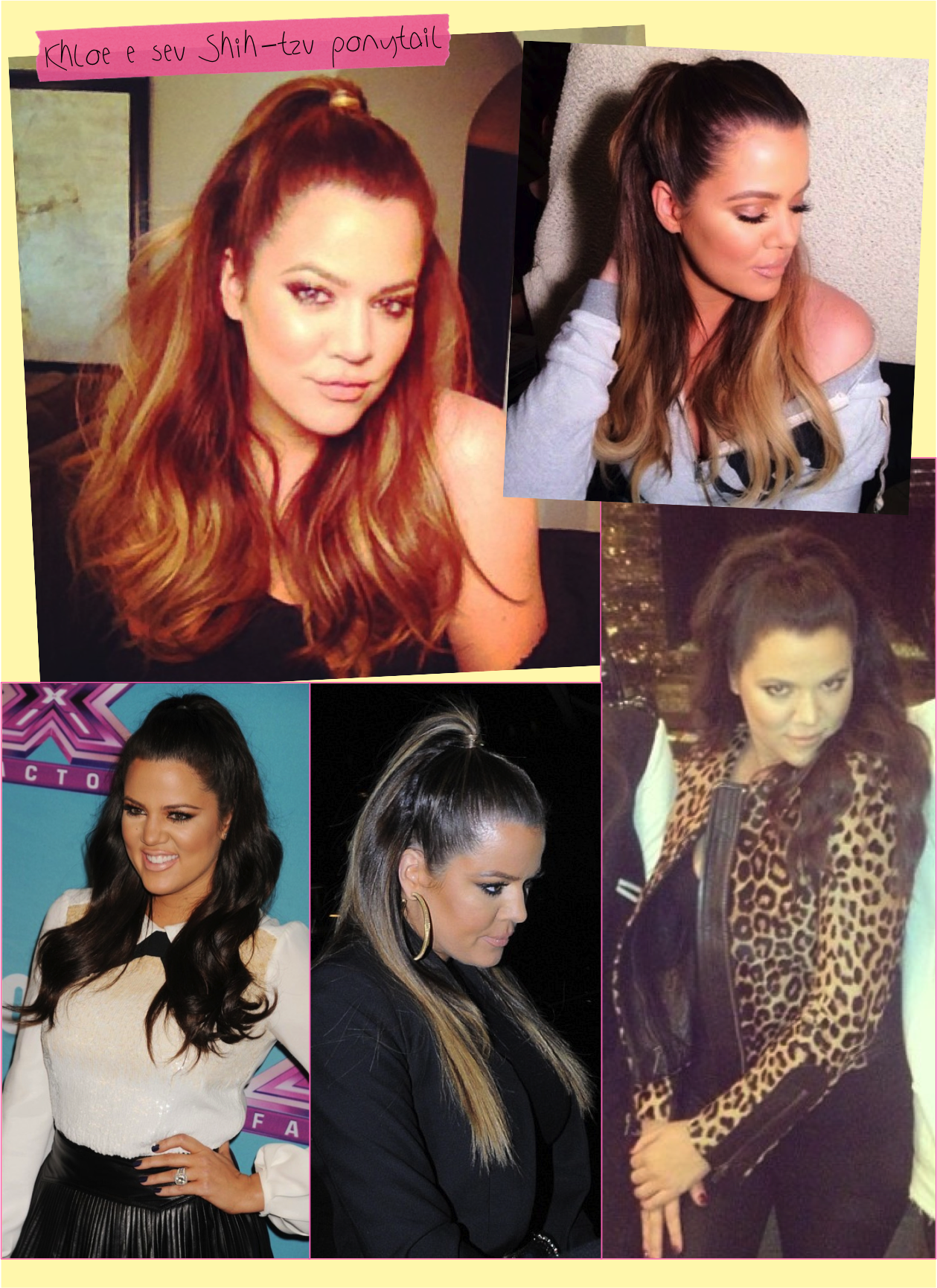 khloe-kardashian-shih-tzu-ponytail