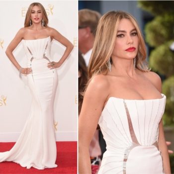 Emmy 2014: Sofia Vergara