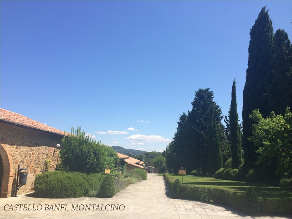 4-VIAGEM-MONTALCINO