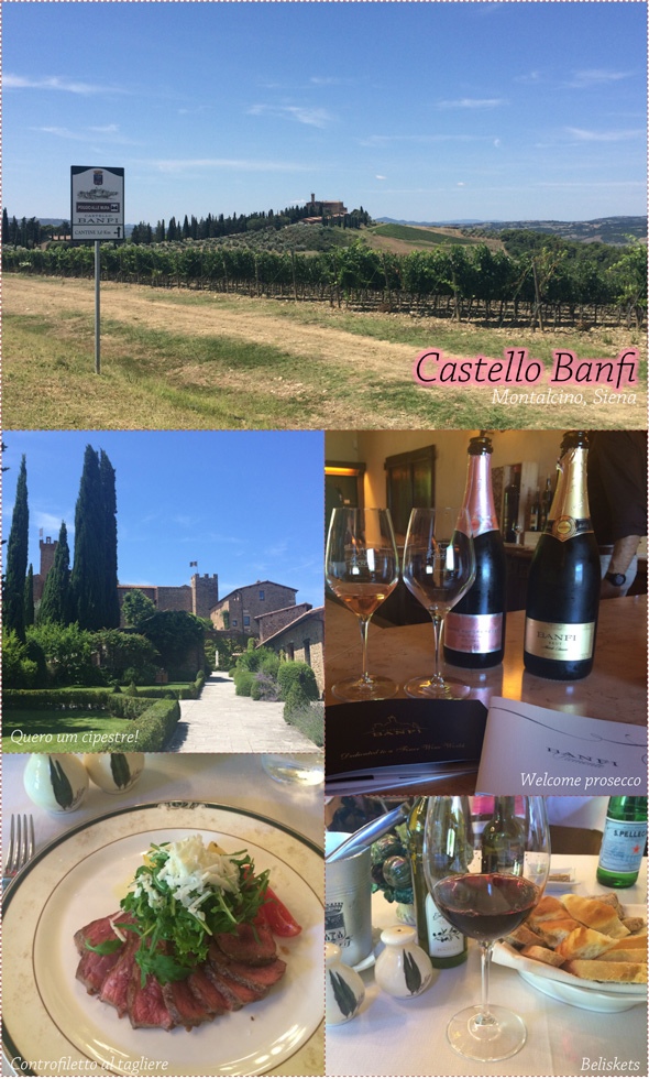 vinicola-castello-banfi-toscana