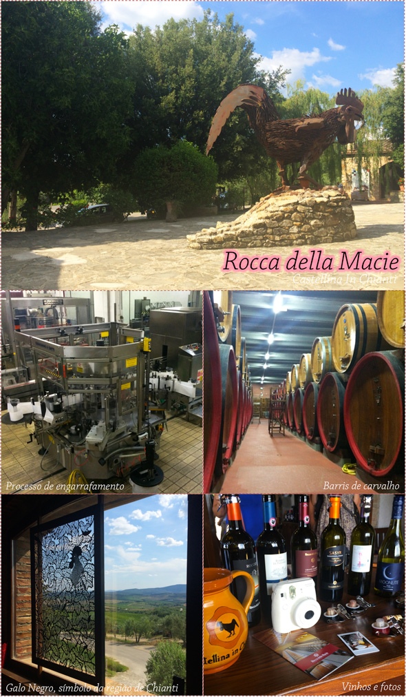 vinicola-rocca-della-macie-chianti