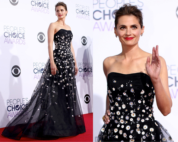 People’s Choice Awards 2015: Stana Katic