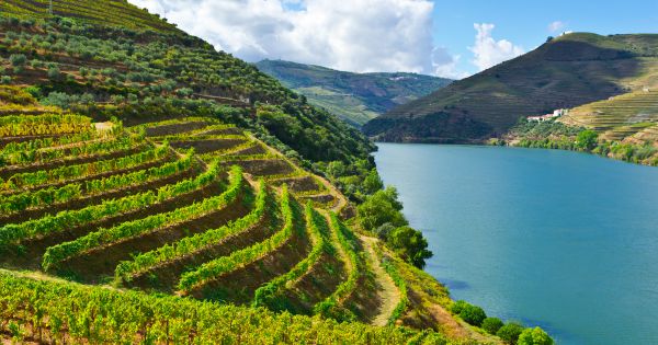 8126-o-vale-do-douro-em-portugal-e-o-600x315-2