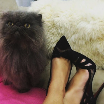TOP7: FAVORITOS CARMEN STEFFENS EM 2015
