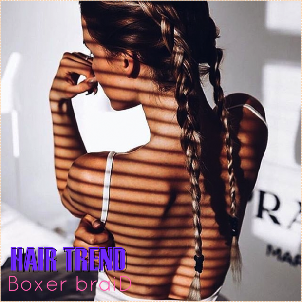 BOXER BRAID 2