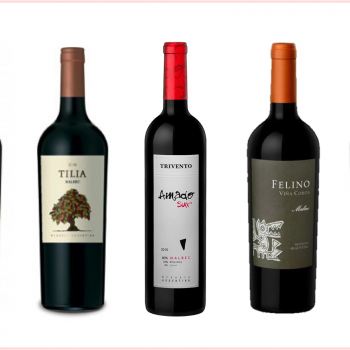 5 Vinhos argentinos pra aquecer seu inverno!
