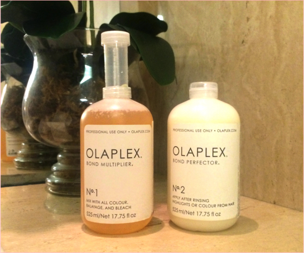 olaplex werner