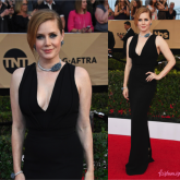 Sag Awards 2017: Amy Adams